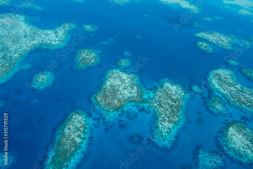 Birds eye view aerial shot of coral reefs