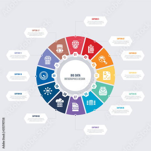 round 12 options big data infographic template design. visualization, global, velocity, layers, storage, xlsx vector icons