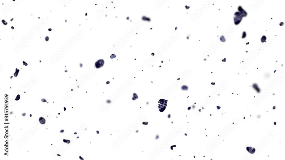 blood cells on white background blood cells on white background