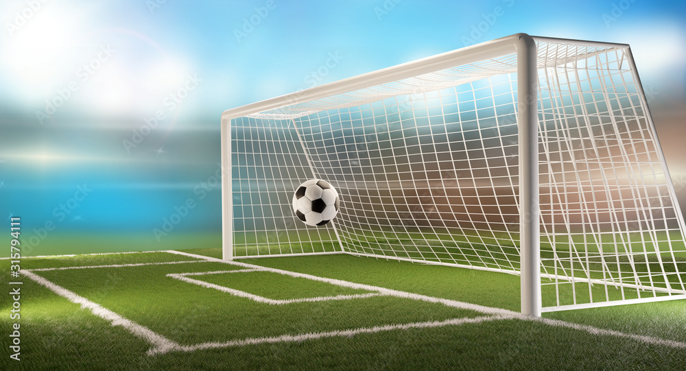 Fototapeta premium soccer field with football ball and soccer goal 3d-illustration
