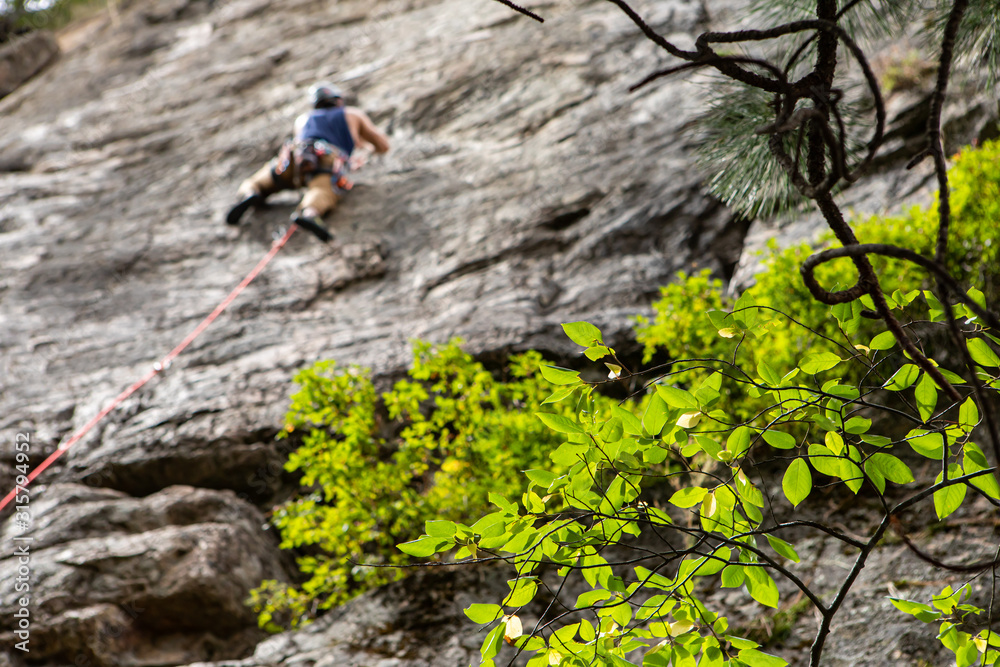 A selective focus view on green tree branches a blurry rock climber is seen top roping in the background, climbing a stone cliff and securing anchors A selective focus view on green tree branches a blurry rock climber is seen top roping in the background, climbing a stone cliff and securing anchors