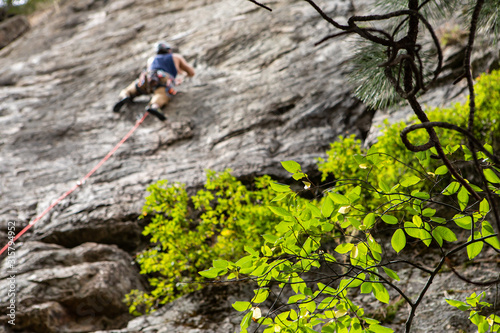 A selective focus view on green tree branches a blurry rock climber is seen top roping in the background, climbing a stone cliff and securing anchors