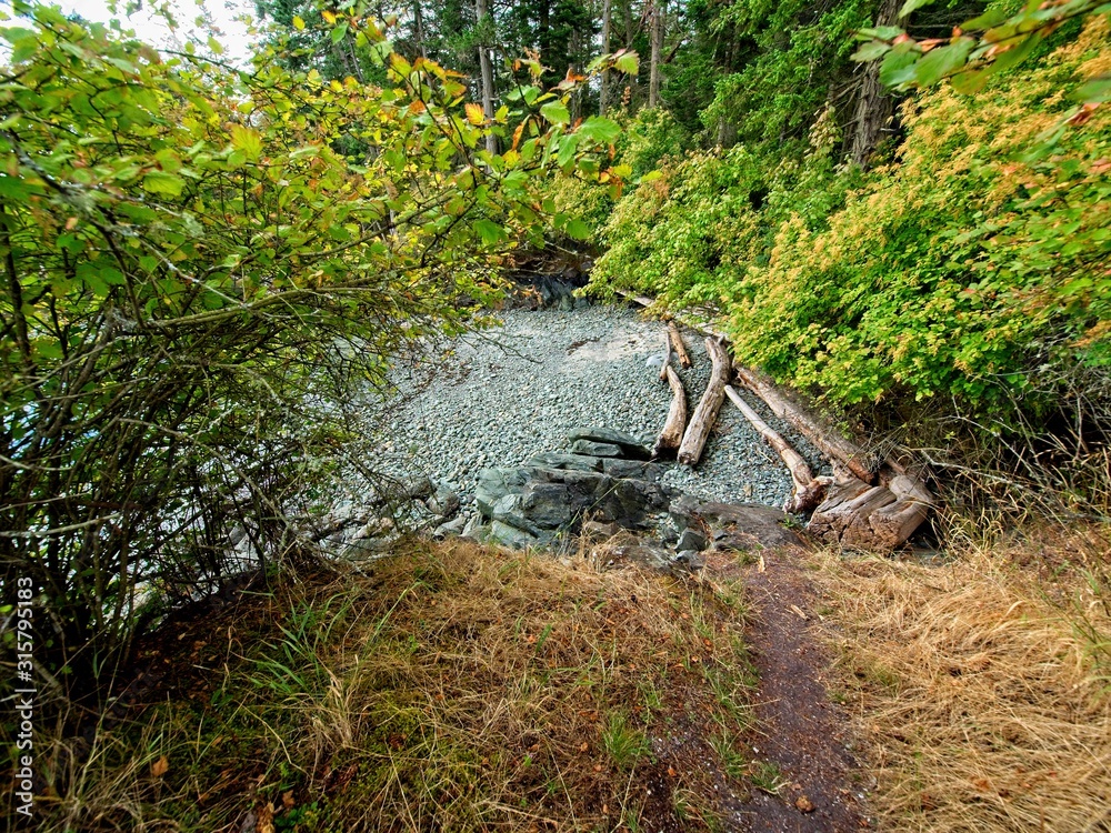 Public Ruckle Provincial Park shoreline on the Salt Spring Island Public Ruckle Provincial Park shoreline on the Salt Spring Island