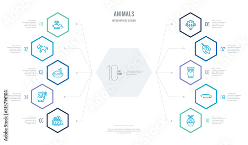 animals concept business infographic design with 10 hexagon options. outline icons such as bee hive, grub, wise, bug on leaf, boho, drunk
