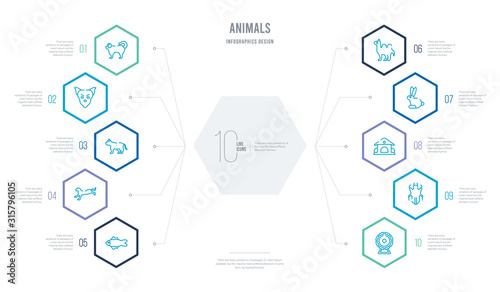 animals concept business infographic design with 10 hexagon options. outline icons such as hamster ball, louse, kennel, sitting rabbit, humps, leopard