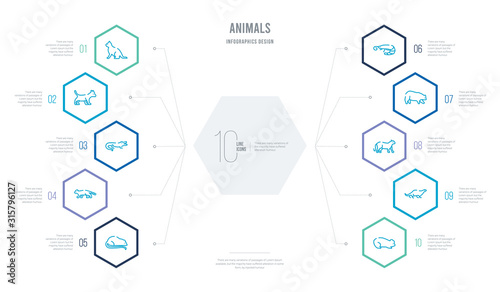 animals concept business infographic design with 10 hexagon options. outline icons such as hamster, otter, panther, polar bear, prawn, panda