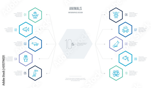 animals concept business infographic design with 10 hexagon options. outline icons such as kraken, fish and a knife, fox sitting, aquarium octopus, big bug, big owl