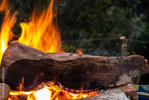 wood burning in campfire on bricks 1