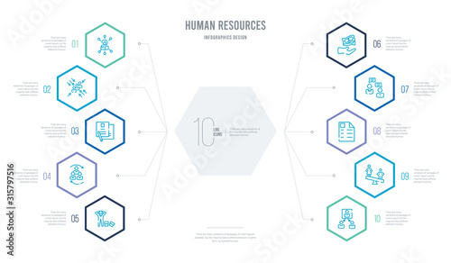 human resources concept business infographic design with 10 hexagon options. outline icons such as company structure, compare, curriculum vitae, dialogue, earnings, human resources