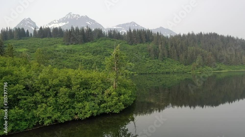 flying past lake shoreline to reveal forest and snowy mountains photo