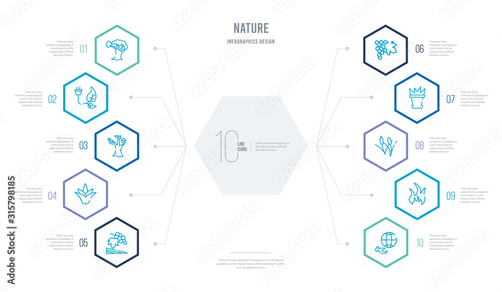 nature concept business infographic design with 10 hexagon options. outline icons such as conservation, flame, reeds, plant pot, grapevine, agave