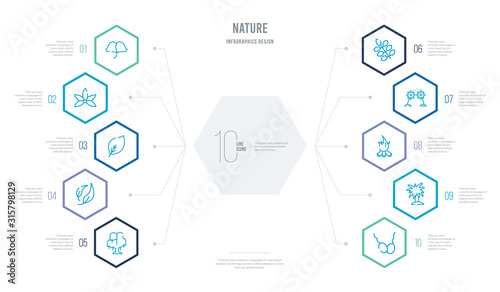 nature concept business infographic design with 10 hexagon options. outline icons such as fertilize clinic, yucca, camping bonfire, pollen, american mountain ash, falcate
