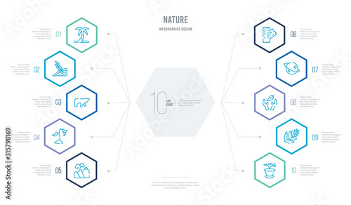 nature concept business infographic design with 10 hexagon options. outline icons such as flower pot, fern, cultivation, saturn with his ring, wood board, grows
