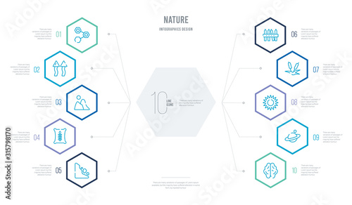 nature concept business infographic design with 10 hexagon options. outline icons such as human brian, planet with satellite, sol, reed bed, fences, grains