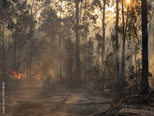 Australian fires