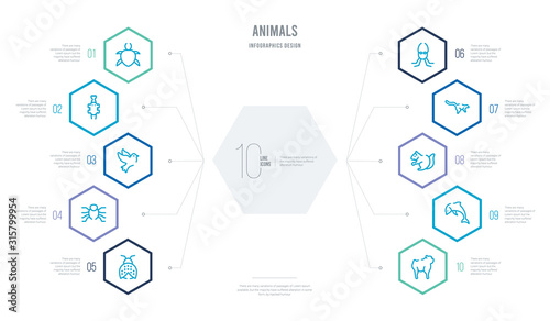 animals concept business infographic design with 10 hexagon options. outline icons such as baboon, dolphin jumping, squirrel, lemur, squid, spider