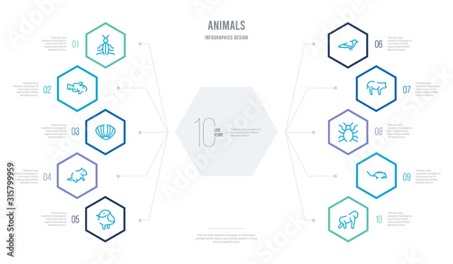 animals concept business infographic design with 10 hexagon options. outline icons such as ape, armadillo, bedbug, calf, canary, chipmunk