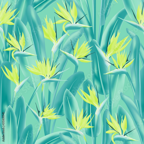 Bird of paradise tropical flower vector seamless pattern. Bohemian tropical plant fabric print design. South African plant tropical blossom of crane flower, strelitzia. Floral textile print.