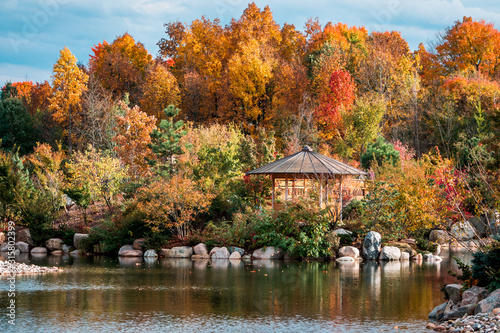 Landscape shot of the japanese gardens in the fall  at the Frederik Meijer Gardens