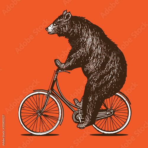 Bear Riding Bike