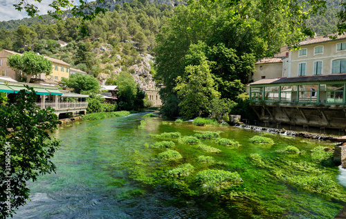 River of brilliant green weeds at Fontaine-de-Vaucluse