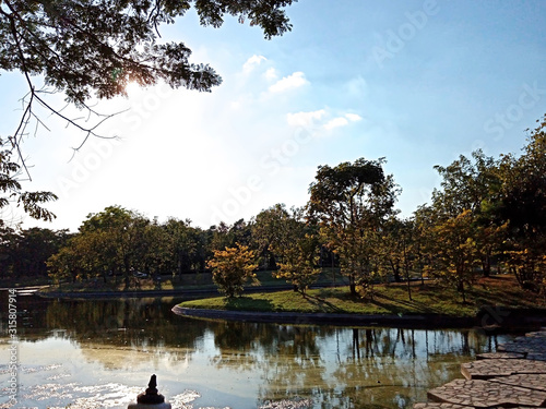 lake in the park