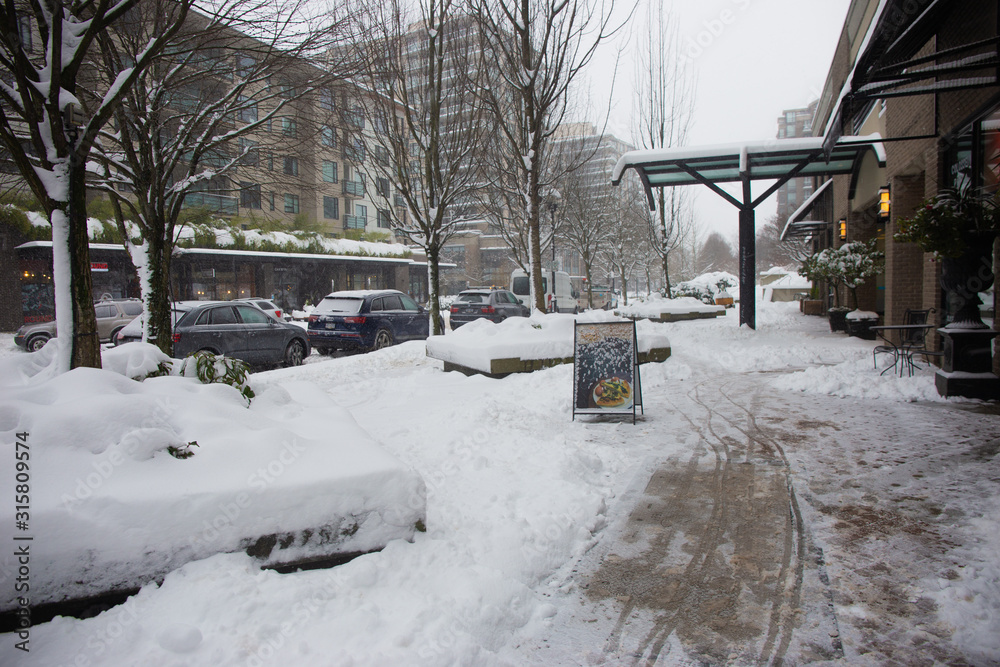 Fototapeta premium North Vancouver, January
