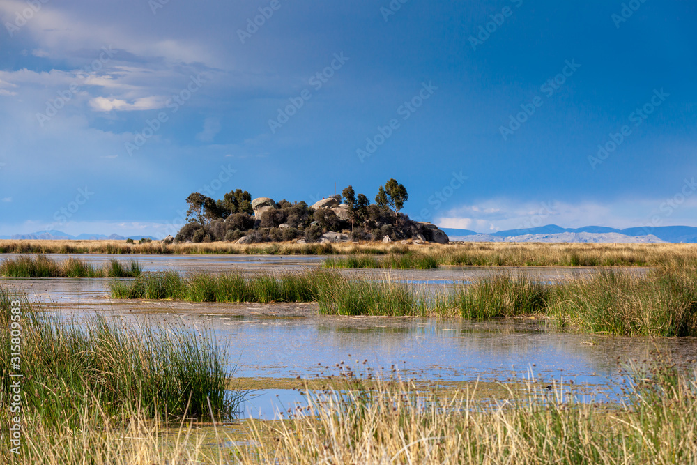 Stone Island, view through the reeds, near floating Uros islands on lake Titicaca in Peru, South America.