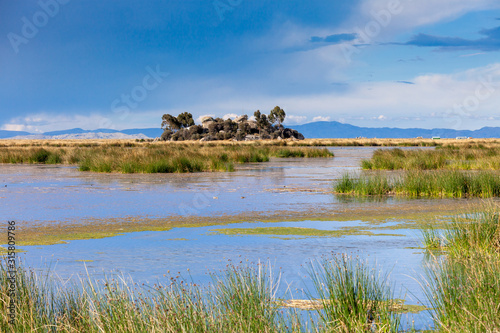 Island with stones and trees, near floating Uros islands on lake Titicaca in Peru, South America.