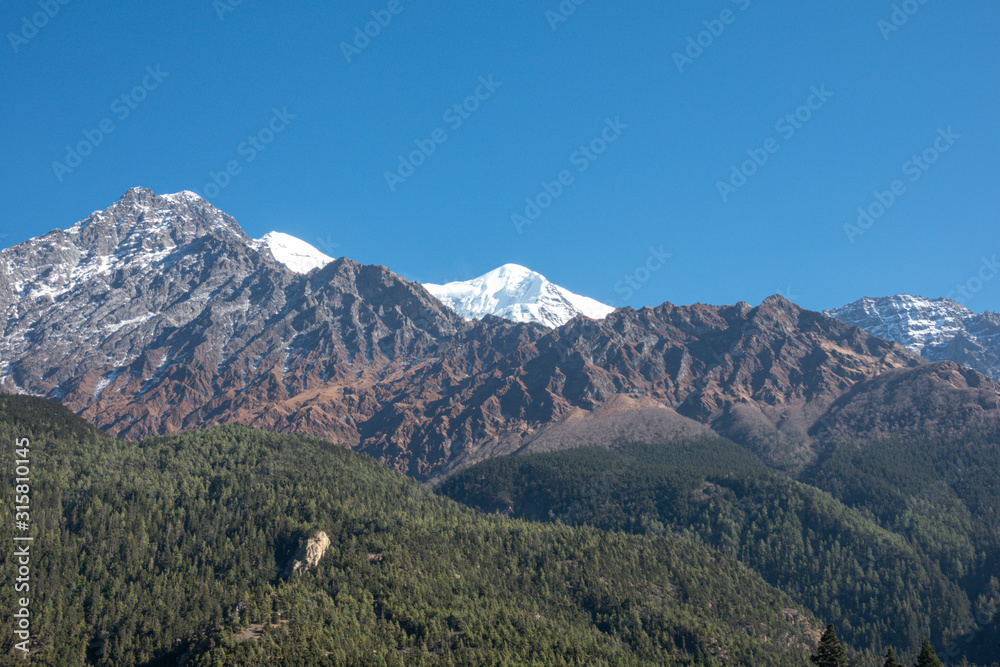 Pine Covered Hills and Snow Peaks