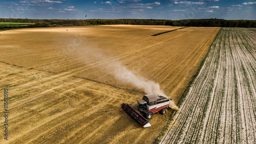 Harvesting by combine harvester in wheat fields on a Sunny autumn day, aerial photography from a drone of farm fields in the seasonal harvest