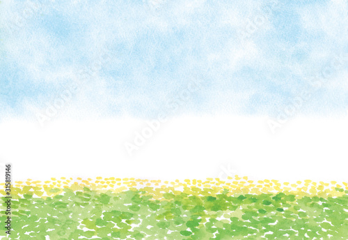 空と菜の花　水彩イラスト