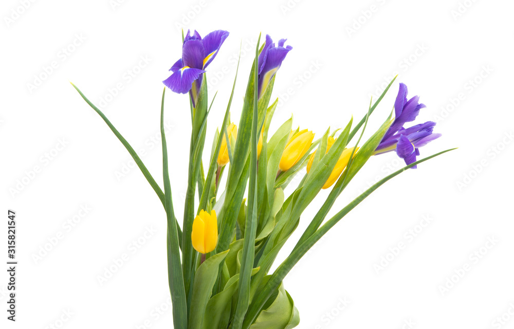 spring bouquet of iris with tulips