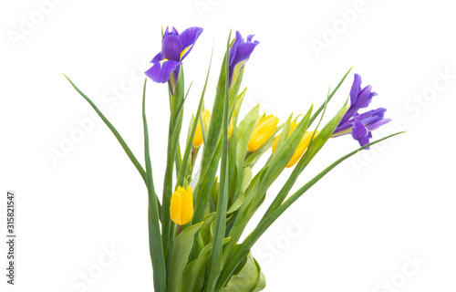 spring bouquet of iris with tulips