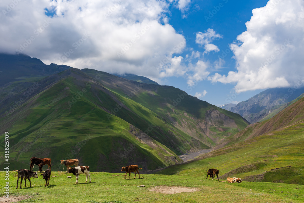 Ancient Caucasian Village