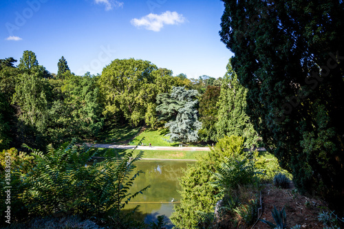 Pond in Buttes-Chaumont Park, Paris