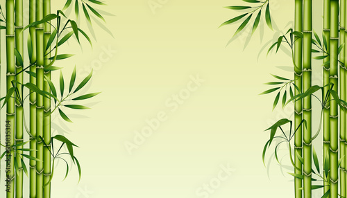 Bamboo background. Green floral illustration for business advertising. Natural banner to insert text. Vector illustration