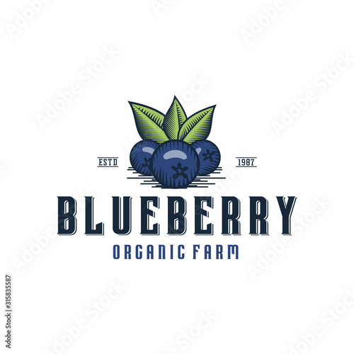 Blueberry Farm vintage logo design inspiration