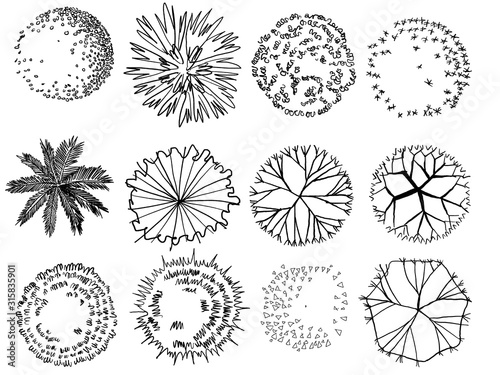 top view set graphic trees.for architecture and landscape design. for layout of the garden. 