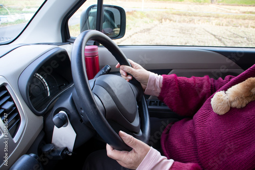車の運転をする高齢女性
