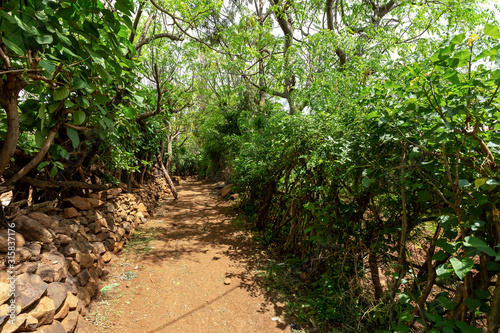 Narrow pathway in Konso, walled village tribes Konso. Africa, Ethiopia. Konso villages are listed as UNESCO World Heritage sites. photo