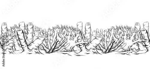 Seamless contour border of coral and reef. Outline drawing of marine life. Vector black and white texture for frames, invitations and your creativity.