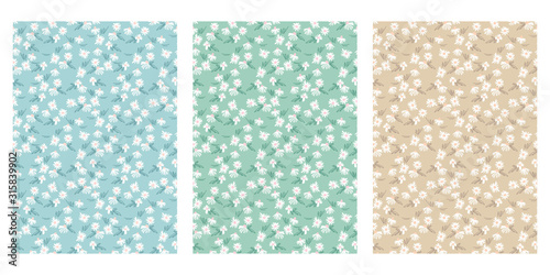 Japanese Daisy Flower Abstract Vector Background Collection