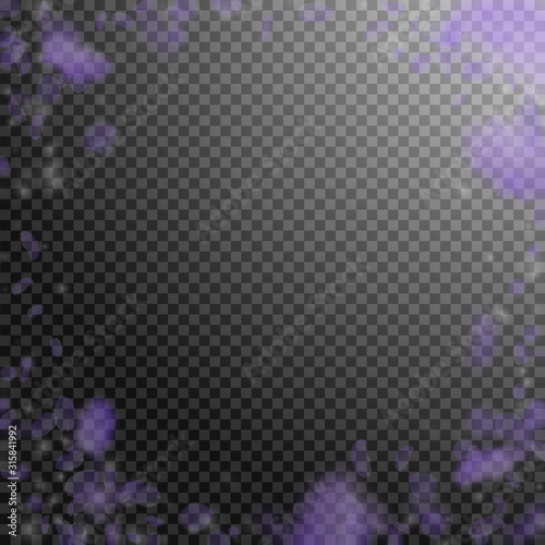 Violet flower petals falling down. Astonishing rom