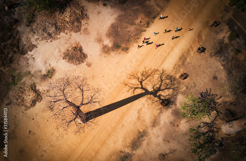 Baobab madagascar vue aerienne photo