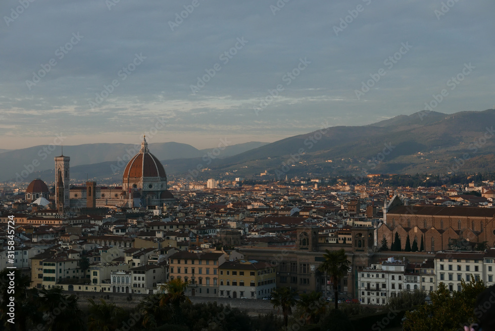 Florence city overview