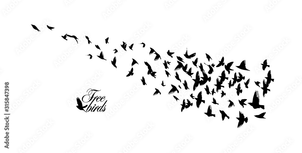 A flock of flying silhouette birds. Vector illustration
