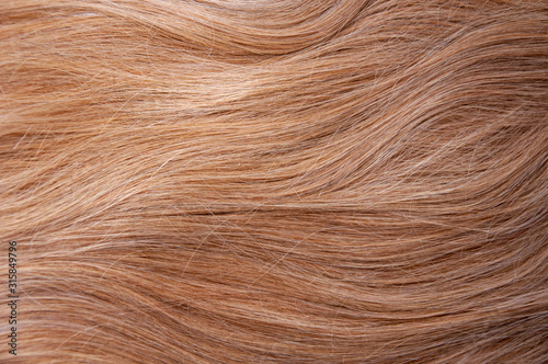 Long blond red hair. Hair texture. Background