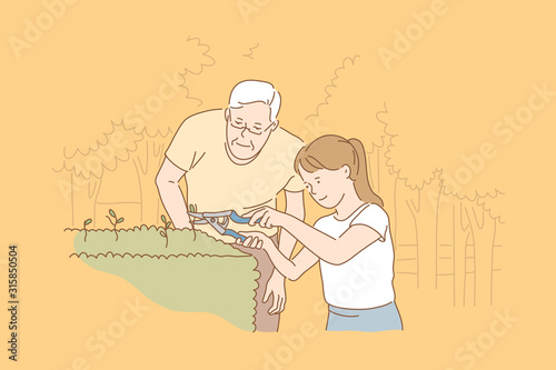 Family, care, gardening, teamwork concept. Old focused contented man watches young careful girl uses secateurs cut bushes in park. Family care about nature. Gardening is form of art simple flat vector