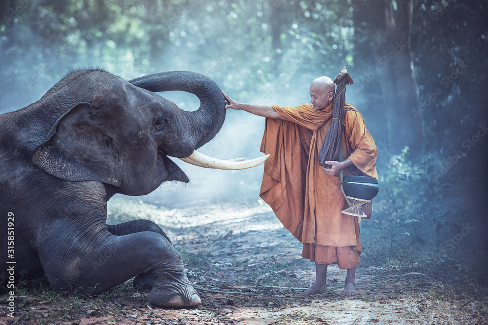 Thailand Buddhist monks with elephant is traditional of religion Buddhism on faith Thai people - obrazy, fototapety, plakaty 